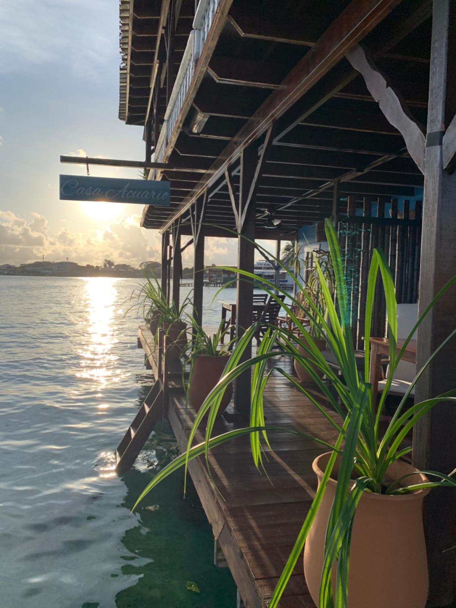 Casa Acuario Boutique Hotel Bocas Town Ngoại thất bức ảnh